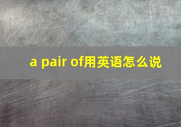 a pair of用英语怎么说